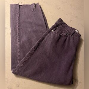 ZARA Purple Barrel Jean (Size 10)